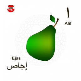 The Little Arabic Alphabet Book
