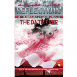 Reflections of the...