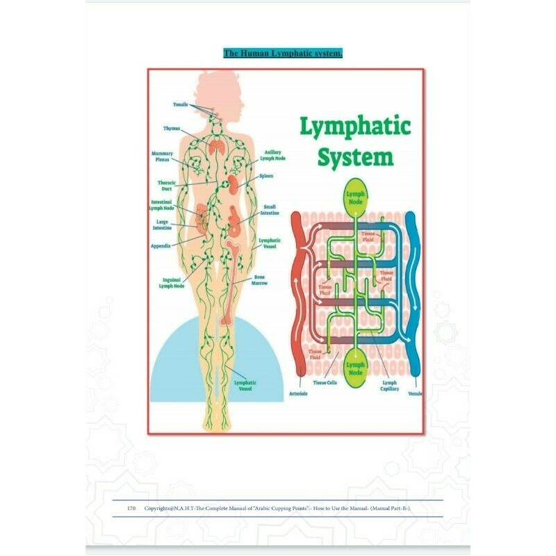 Hijama Therapy A Complete Manual of The Arabic Cupping Points