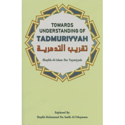 Towards Understanding of...